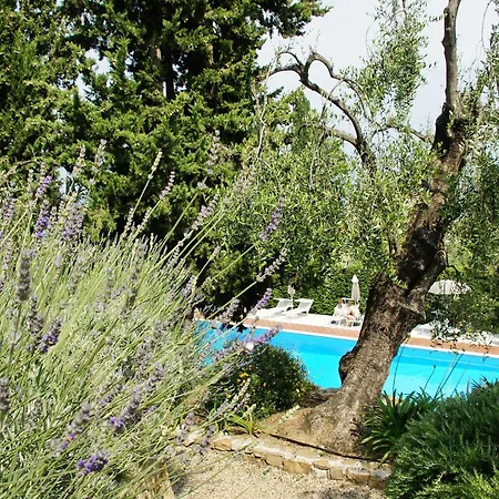 酒店 梅特罗波尔酒店 4*