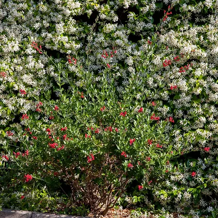 梅特罗波尔酒店 酒店