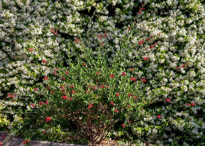 梅特罗波尔酒店 酒店