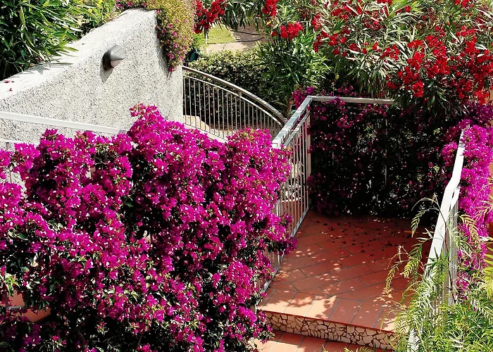 酒店 梅特罗波尔酒店 4*