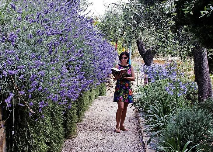 酒店 梅特罗波尔酒店 4*