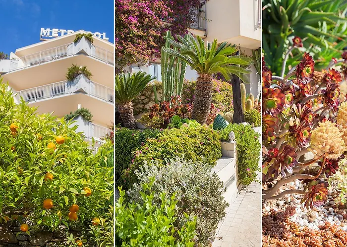 梅特罗波尔酒店